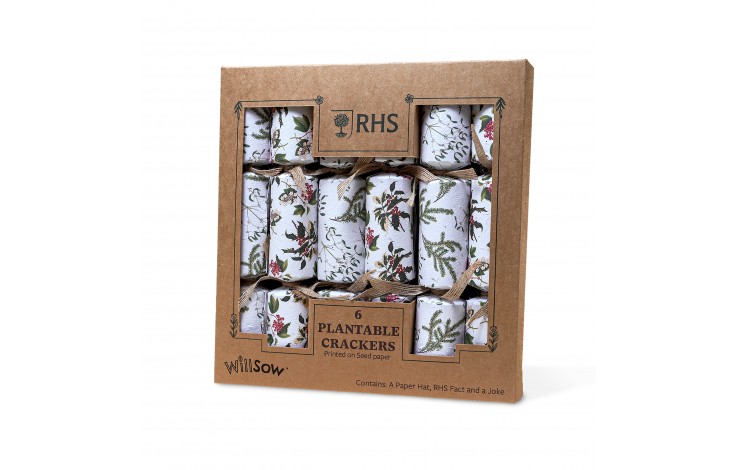 Plantable Christmas Crackers