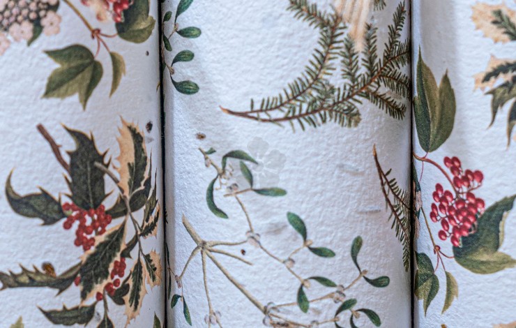 Plantable Christmas Crackers