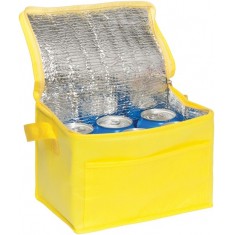 Rainham 6 Can Cooler Bag