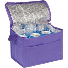 Rainham 6 Can Cooler Bag