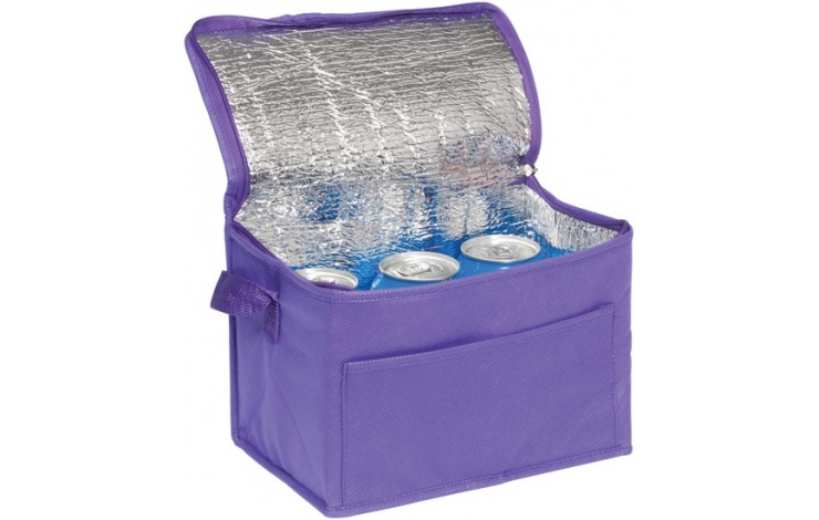 Rainham 6 Can Cooler Bag