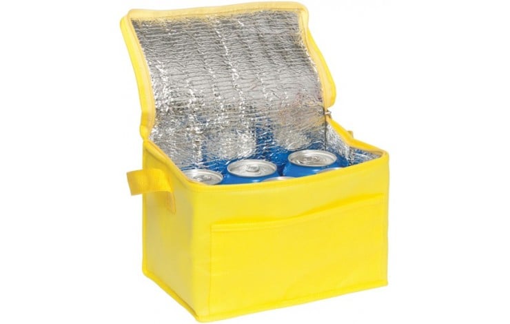 Rainham 6 Can Cooler Bag