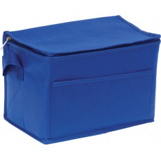 Recycled 6 Can Cooler Bag