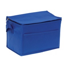 Recycled 6 Can Cooler Bag