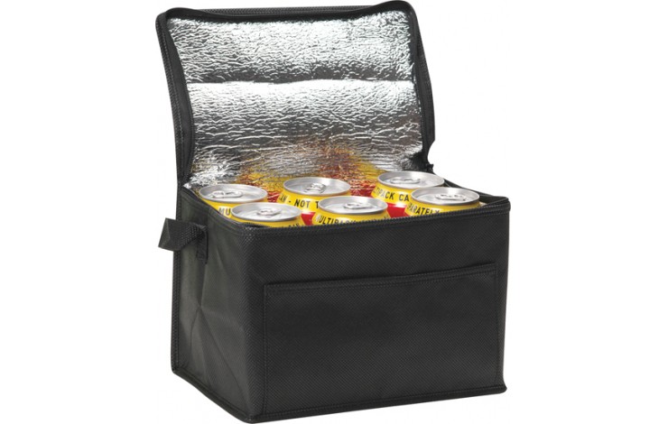 Recycled 6 Can Cooler Bag