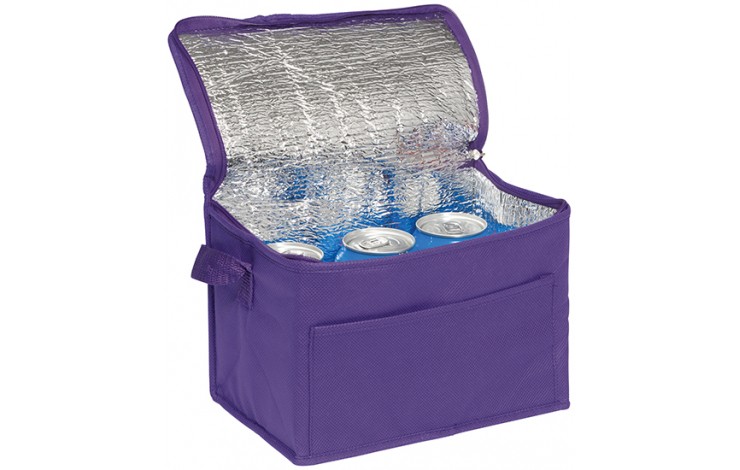 Recycled 6 Can Cooler Bag