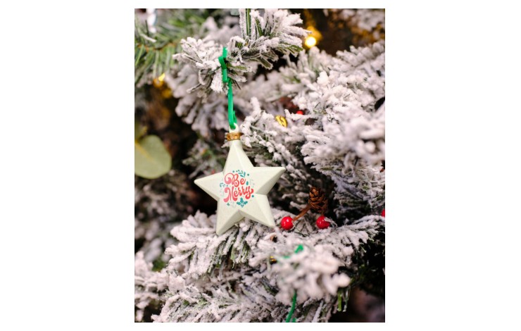 Recycled Plastic Star Bauble