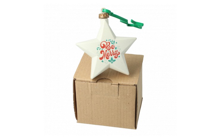 Recycled Plastic Star Bauble