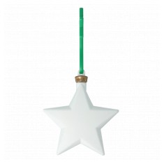 Recycled Plastic Star Bauble