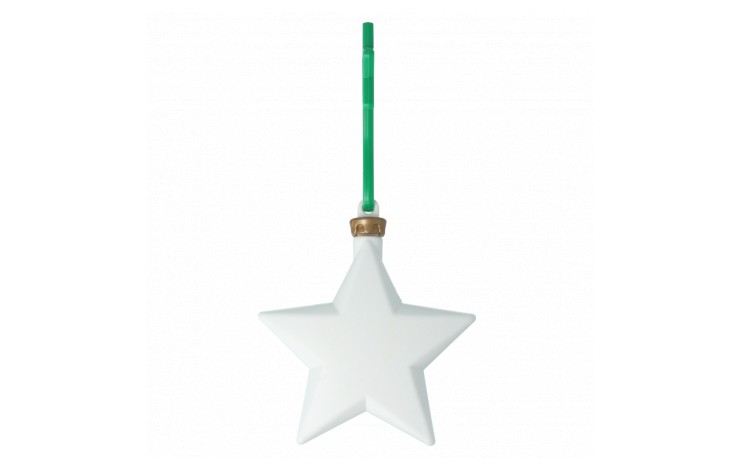 Recycled Plastic Star Bauble