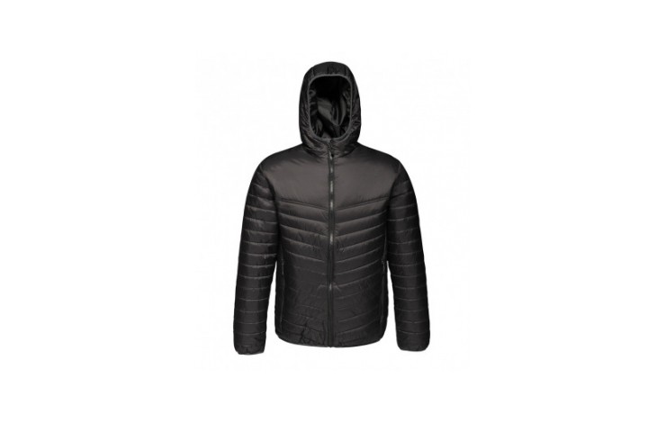 Regatta Acadia II Down-Touch Padded Jacket