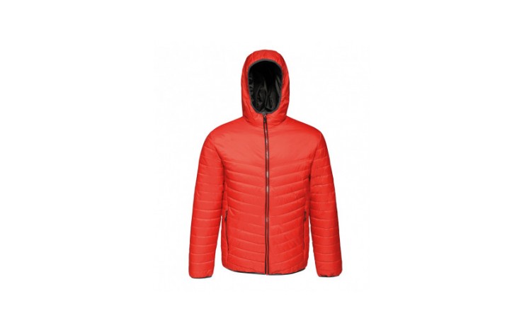 Regatta Acadia II Down-Touch Padded Jacket