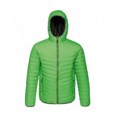 Regatta Acadia II Down-Touch Padded Jacket