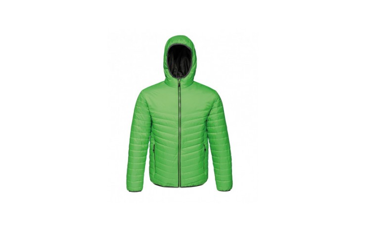 Regatta Acadia II Down-Touch Padded Jacket