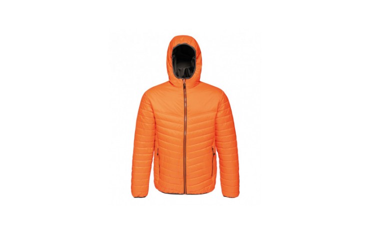 Regatta Acadia II Down-Touch Padded Jacket