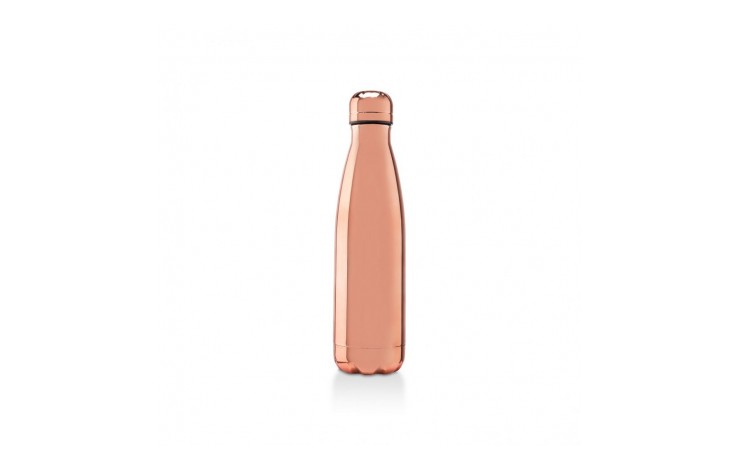 Regent Electroplated Insulated Bottle