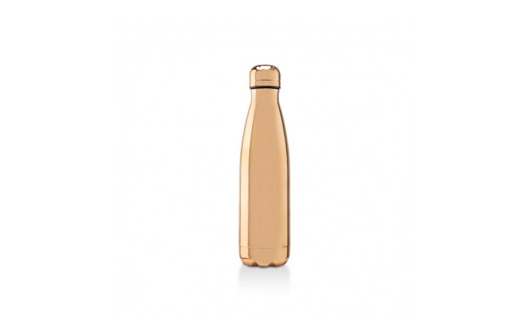 Regent Electroplated Insulated Bottle