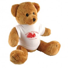 10" Robbie Bear and T Shirt