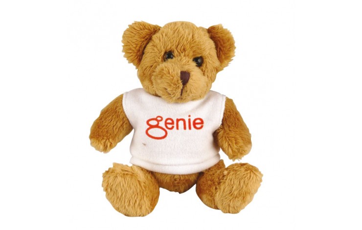 5" Robbie Bear and T Shirt