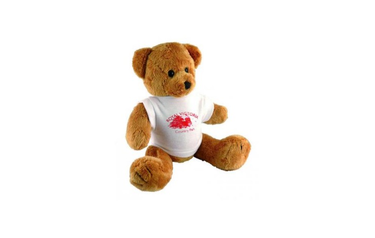 10" Robbie Bear and T Shirt
