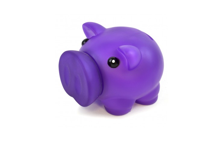 Rubber Nose Piggy Bank