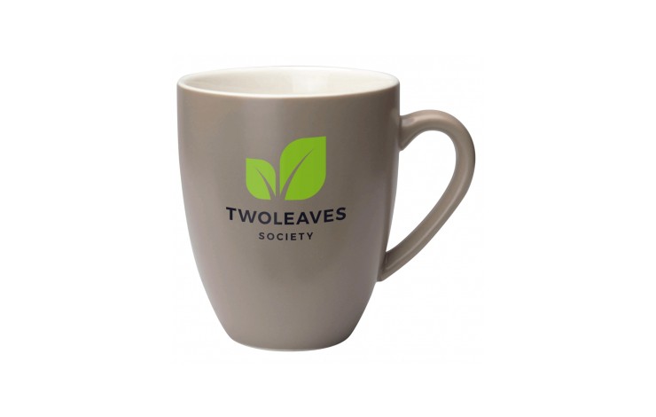 Satchel Porcelain Mug