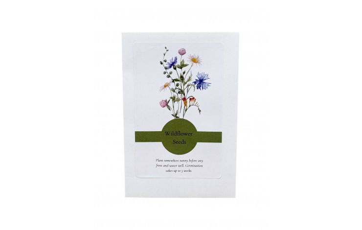 Seed Packet Envelope