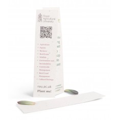 Seed Paper Bookmarks