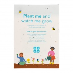 Seed Paper Leaflet