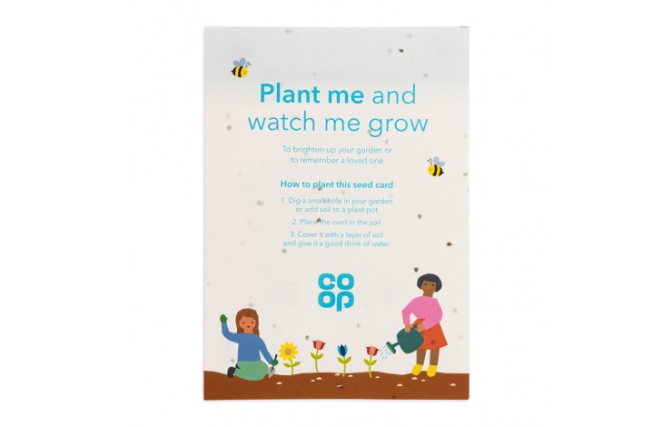 Seed Paper Leaflet
