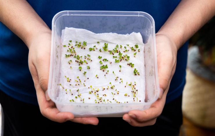 Seed Paper Leaflet