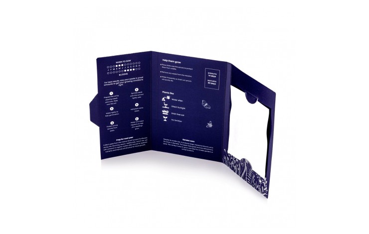 Seed Wallet
