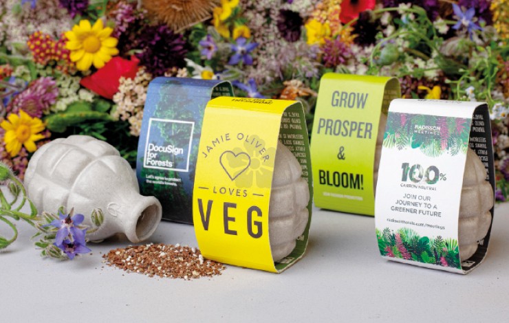 Seedbombs