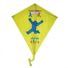 Sky Flyer Kite