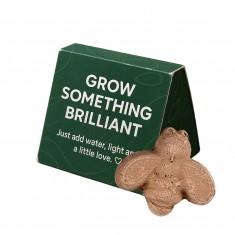 Mini Seed Bomb