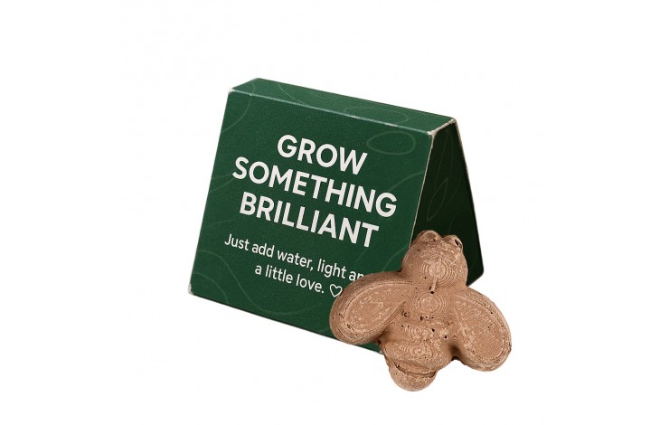 Mini Seed Bomb