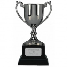 Small Trophy Cup