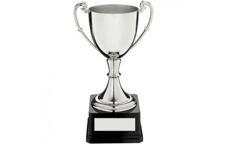 Small Trophy Cup