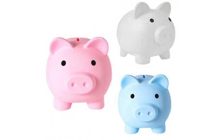 Soft Touch Piggy Bank
