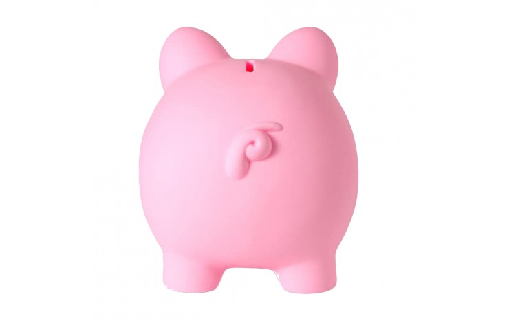 Soft Touch Piggy Bank