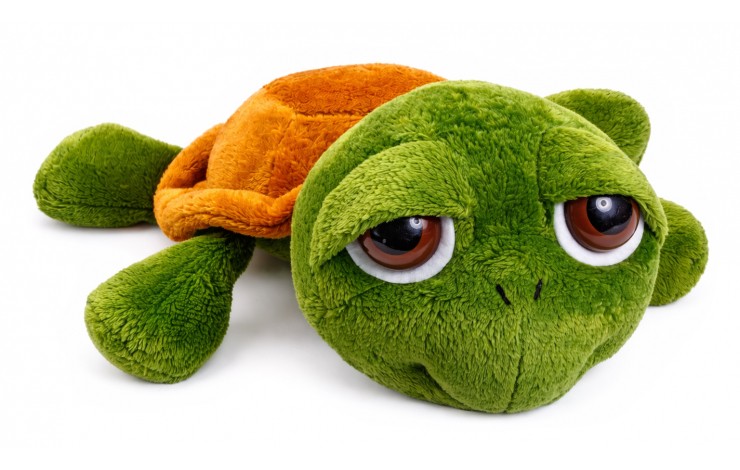 Soft Toy Turtle