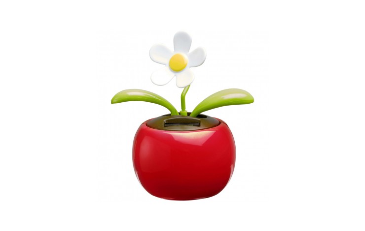 Solar Flower
