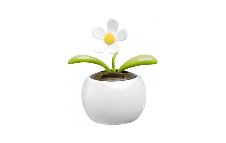 Solar Flower