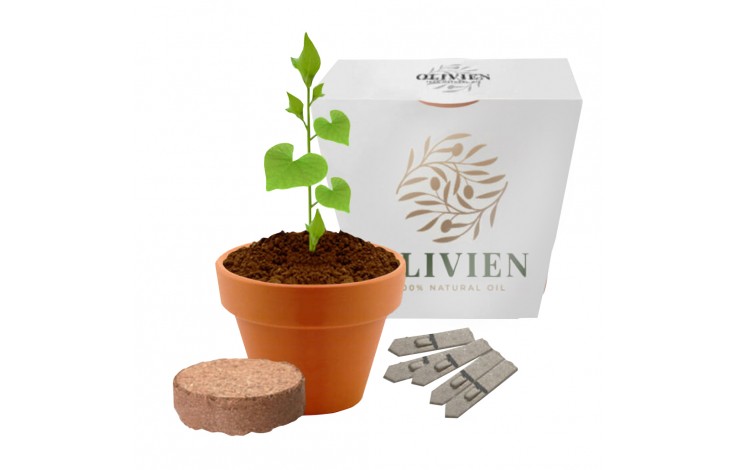 Sow & Grow Pot