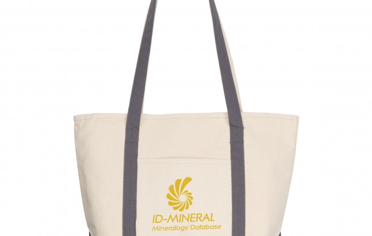 Spring Beach Bag