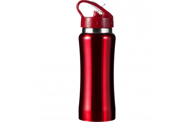 Stainless Steel Drinking Bottle