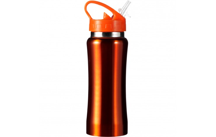 Stainless Steel Drinking Bottle