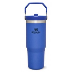 Stanley Classic Iceflow Flip Straw Tumbler