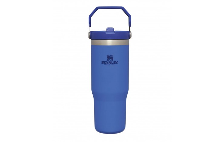 Stanley Classic Iceflow Flip Straw Tumbler