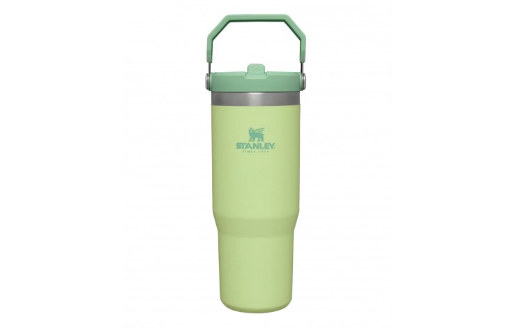 Stanley Classic Iceflow Flip Straw Tumbler